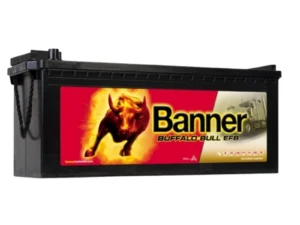 Banner 240Ah 1200A Buffalo Bull EFB akumuliatorius 12V 517X273X212/240mm - Image 1