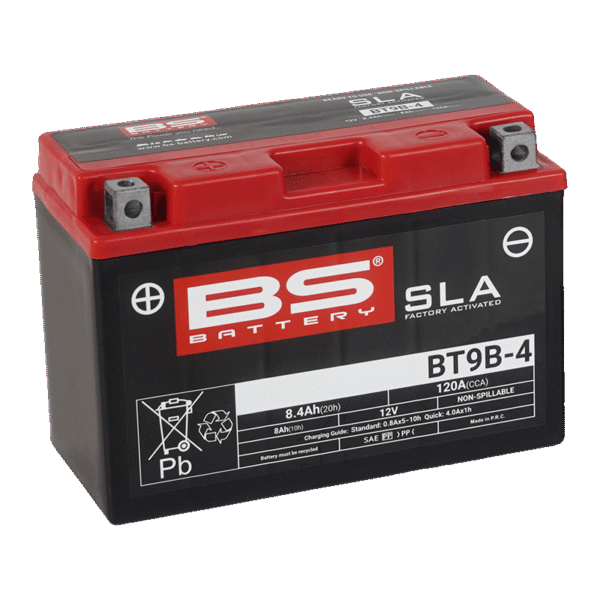 SLA_BT9B-4_300642_bat