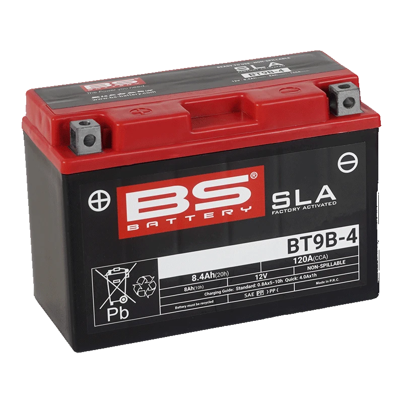 SLA_BT9B-4_300642_bat
