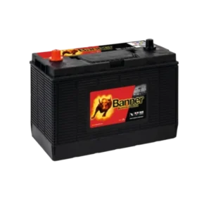 Banner Buffalo Bull 105Ah 12V 1000A akumuliatorius 330x171x218/241