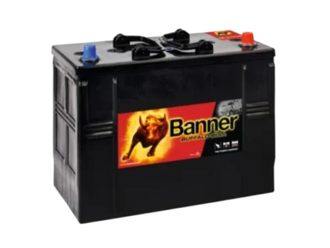 Banner 125Ah 760A -+ 12V Buffalo Bull akumuliatorius 345x172x260/283mm